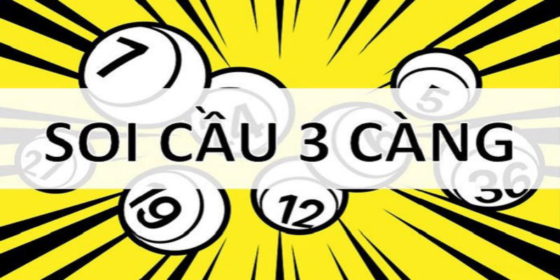 3 Càng Đề Là Gì? Cùng Trả Lời Câu Hỏi Này Xosobaclieu