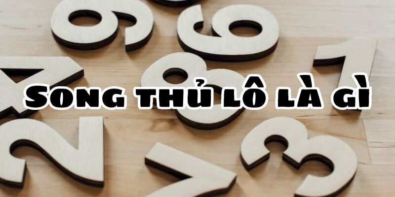 STL Trong Lô Đề Là Gì? Tại Sao Nên Chơi Cặp Song Lô Thủ?