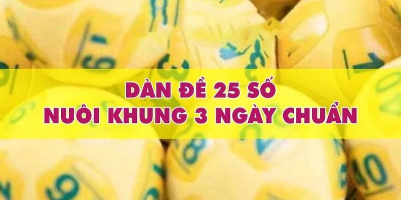 Hướng dẫn cách soi cầu dàn đề 25 số khung 3 ngày