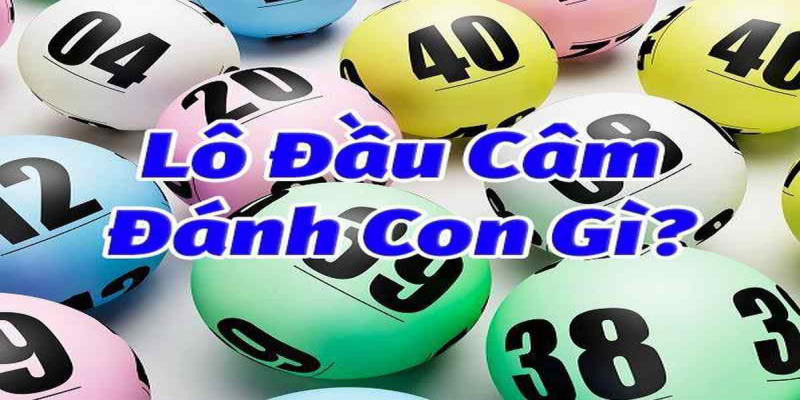 Lô Đầu Câm Hôm Sau Đánh Con Gì Tại Xosobaclieu