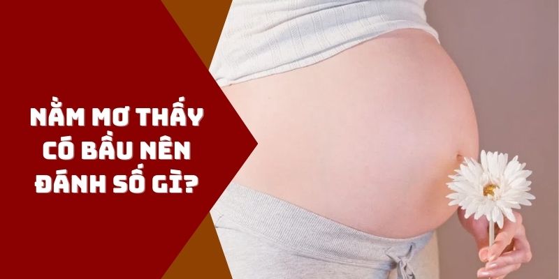 Lý giải việc nằm mơ thấy có bầu đánh con gì?