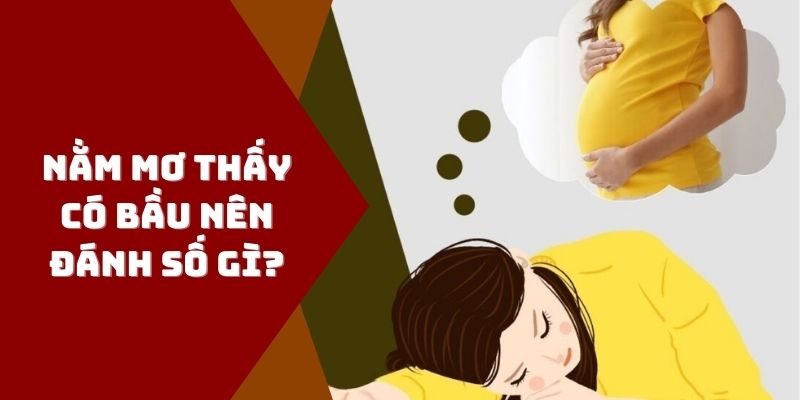 Nằm mơ thấy có bầu đánh con gì?