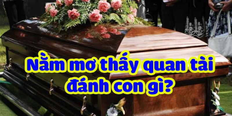 Nằm Mơ Thấy Quan Tài Đánh Số Gì Chắc Thắng Tại Xosobaclieu?