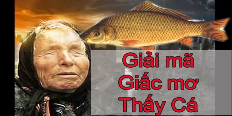 Ngủ Mơ Thấy Cá Đánh Số Mấy? Giải Đáp Con Số May Mắn Nhất