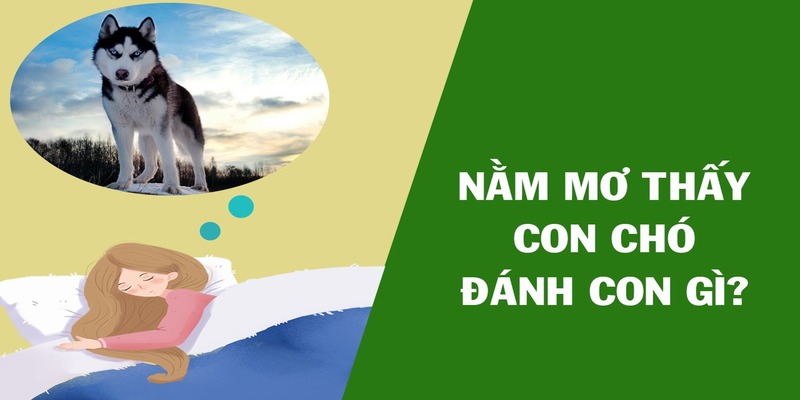 Ngủ Mơ Thấy Chó Đánh Số Mấy? Bật Mí Cho Tân Thủ 2024