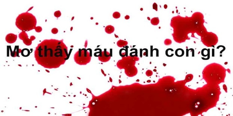 Ngủ mơ thấy máu đánh số mấy?