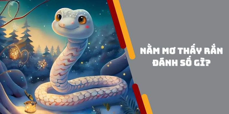 Ngủ Mơ Thấy Rắn Đánh Số Gì? Giúp Bạn Giải Mã Bí Ẩn Giấc Mơ