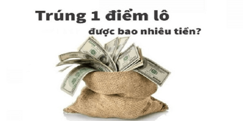 Tìm hiểu khái quát về bao nhiêu tiền 1 điểm lô