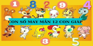 Tổng Hợp Bộ 12 Con Giáp Số Đề Tại Xosobaclieu Bạn Cần Biết