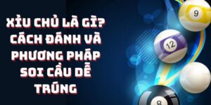 Xỉu Chủ Là Gì - Thủ Thuật Soi Cầu Chủ Đánh Đâu Trúng Đó